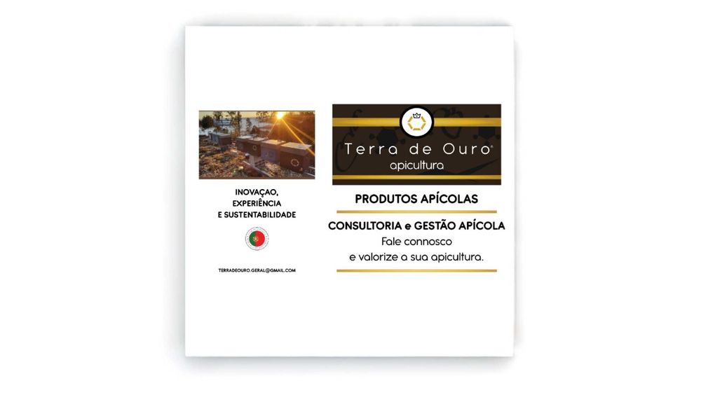 Velas de 100% cera de abelha