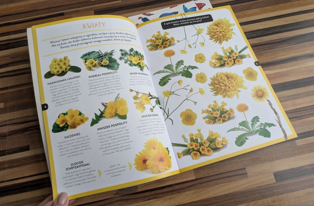 Zestaw młodzi przyrodnicy kolorowa przyroda żółta niebieska czerwona