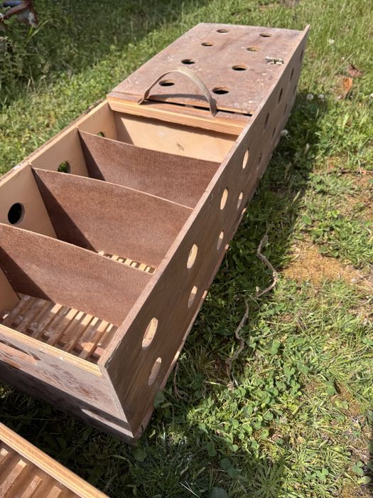 Cestos para transporte pombos columbofilia