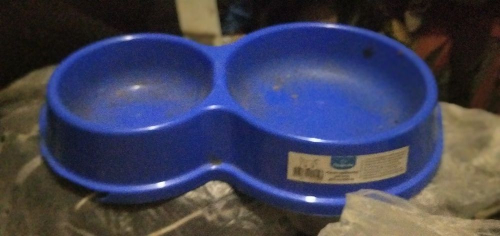 ошейник для собаки и цепь для дворовой собаки