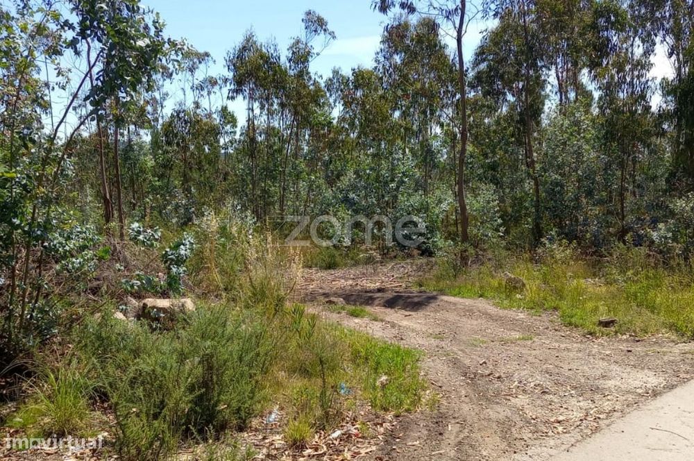 Terreno florestal 20000 m2 em Vilarinho das Cambas