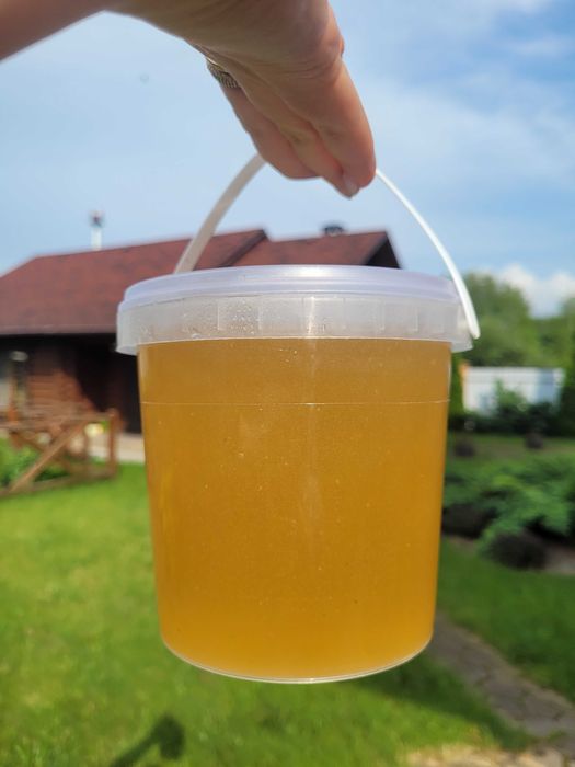 Смачний мед зі своєї пасіки