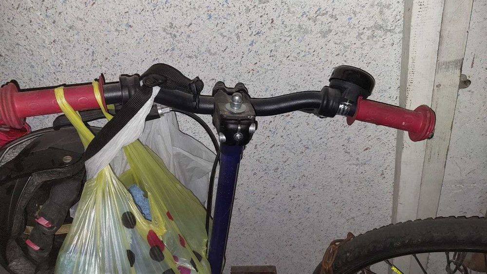 Самокат Crazy Extreme фірми Milly Mally 12"