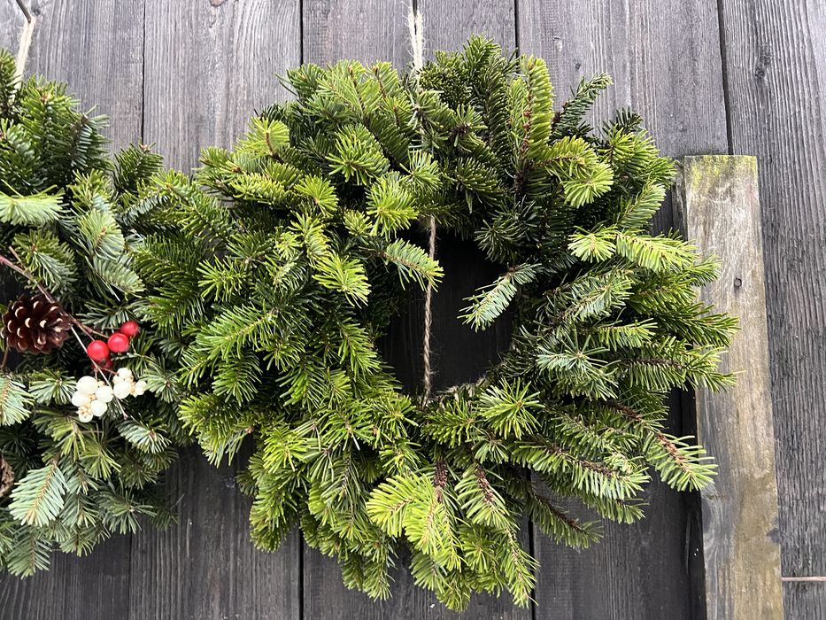 Zywe wianki swierk jodla tuja