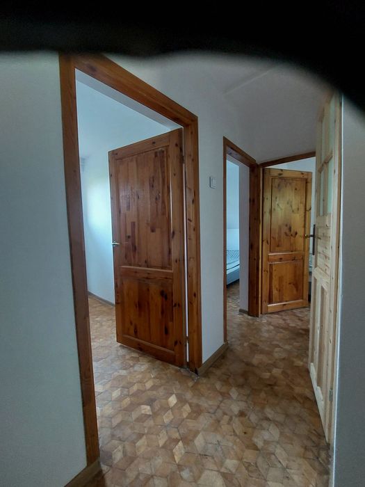 Domek do wynajęcia - Zygmuntówka w lesie!