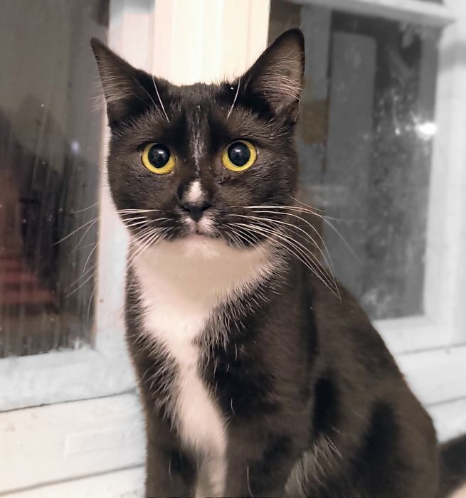 Urocza Bójka, Ostoja Mruczków