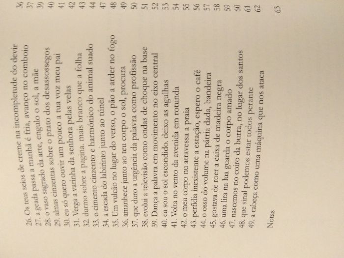 Raro - José Gil - Crash - Poesia