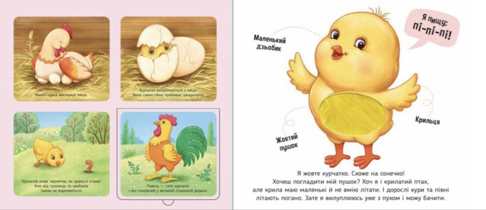 Книга з тактильними елементами На фермі