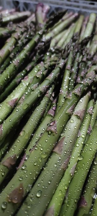 Espargos verdes e roxos