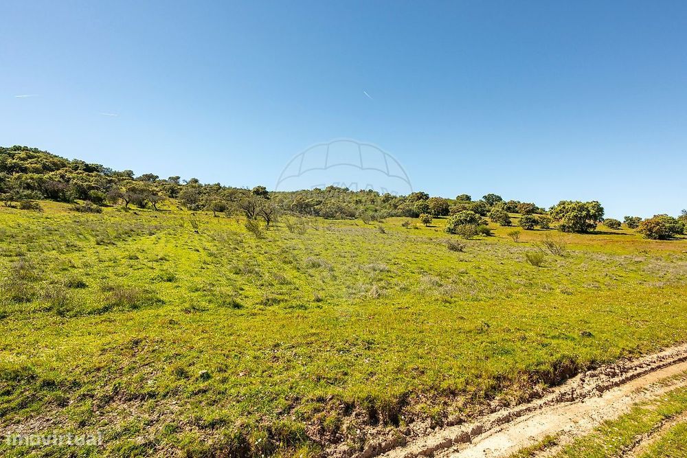 Terreno  para venda