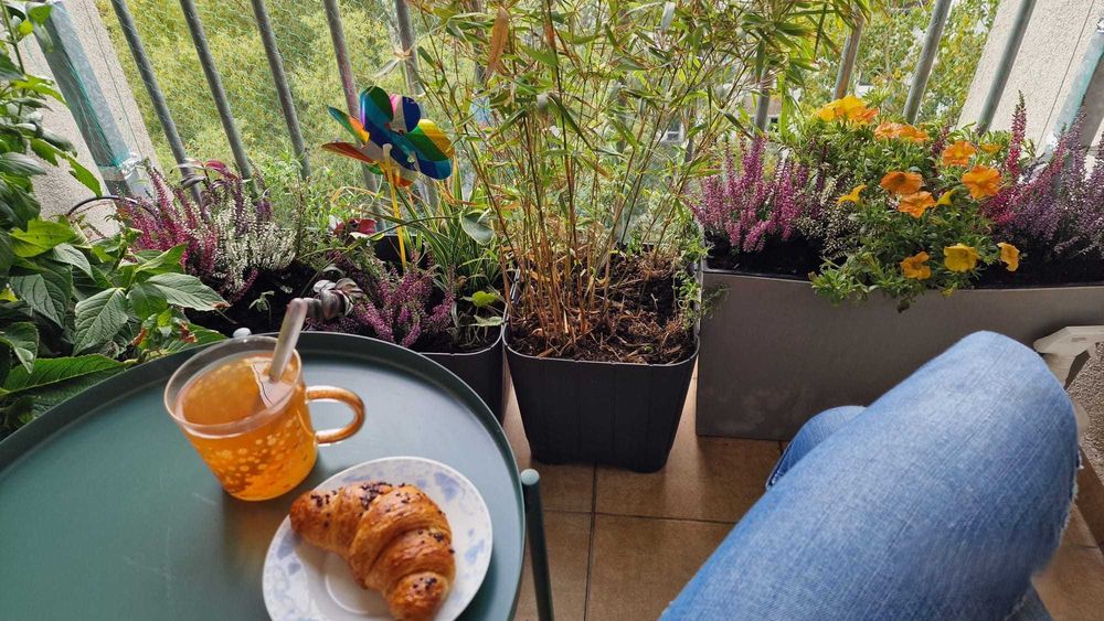 3 pokoje, jasne, obok lasu i parku. z pieknym widokiem, bez prowizji
