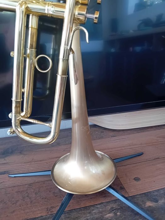 CarolBrass Trombeta Trumpet Dutch Jazz Bastard