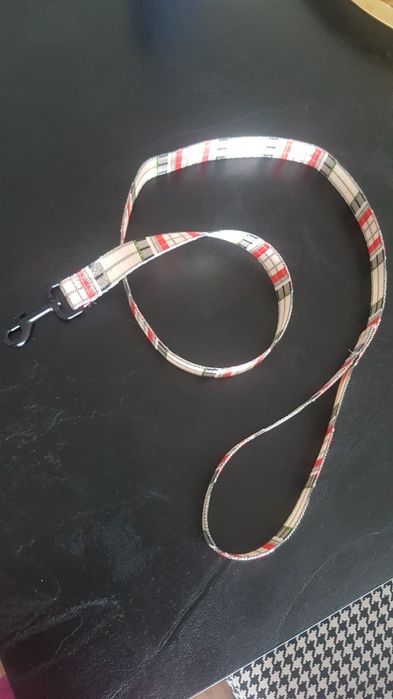 Smycz, pies, kot, zwierzę, pasek, kratka