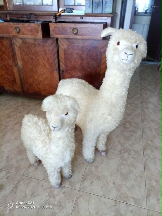 peloche  duas lamas