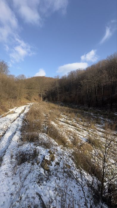 Земельна ділянка 1.9915га