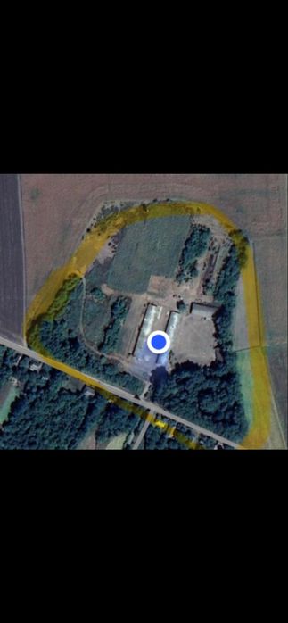 Ферма свиноферма вівчарня