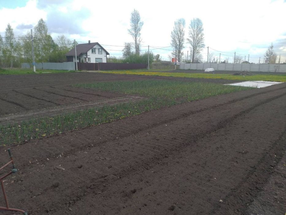 Земельна ділянка