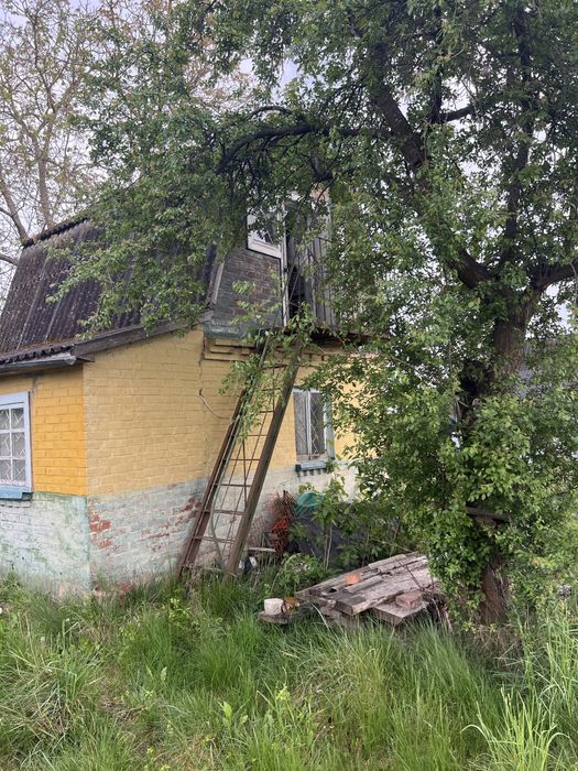 Продається дача на бузі