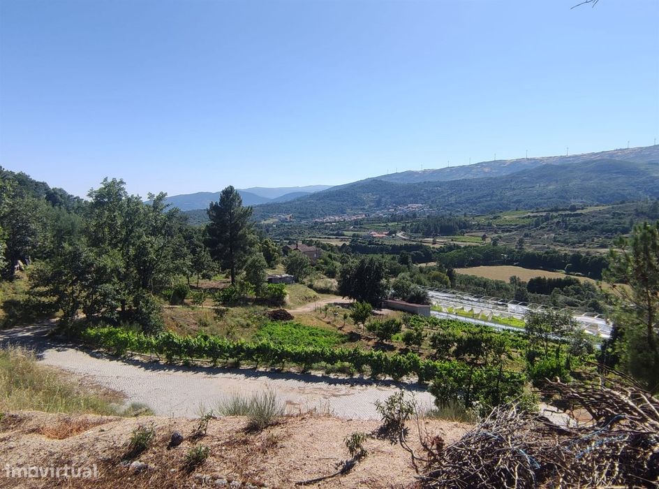 Quinta  Venda em Vela,Guarda