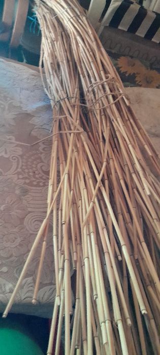 Bambus tyczki duża ilość