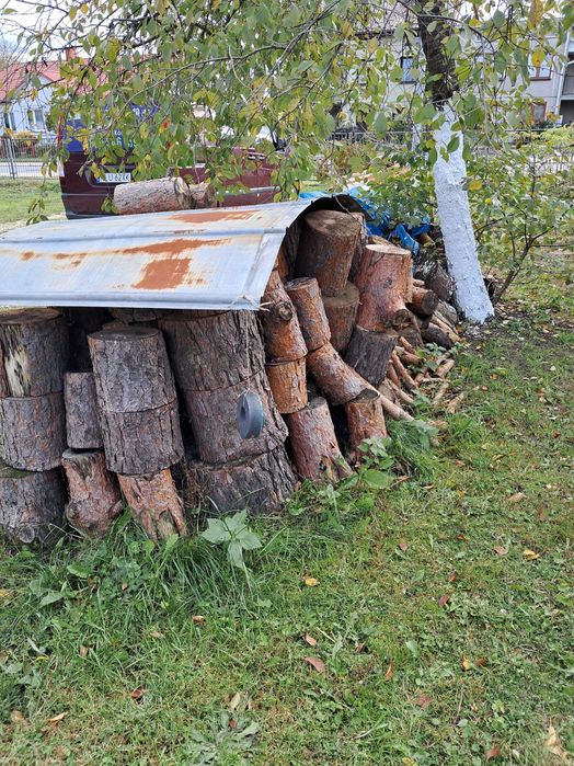 Sosna w klockach na opał ok.8m6