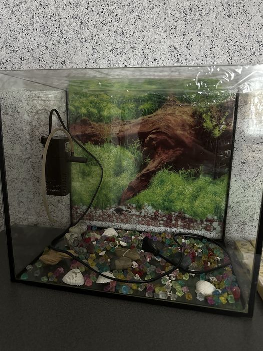 Акваріум без кришки