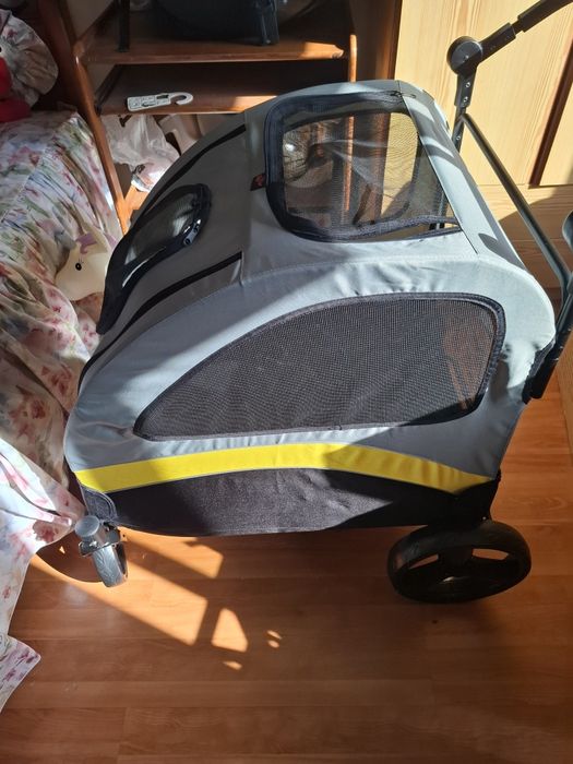 Carro passear animal estimação