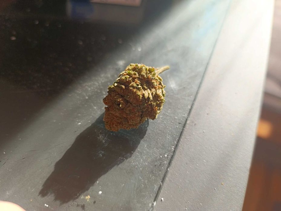 Cbd+ Cbg Premium Weed 5 gram 96 PLN