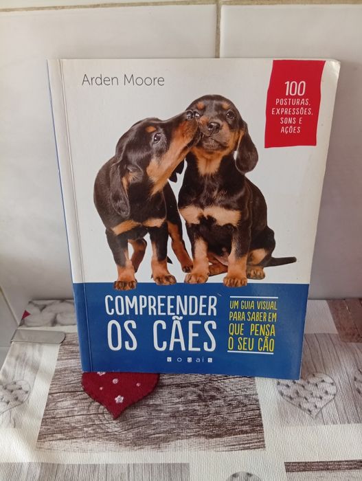 Livro compreender os cães