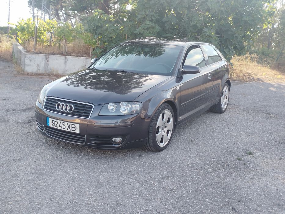 Audi A3 8P 2.0 TDI