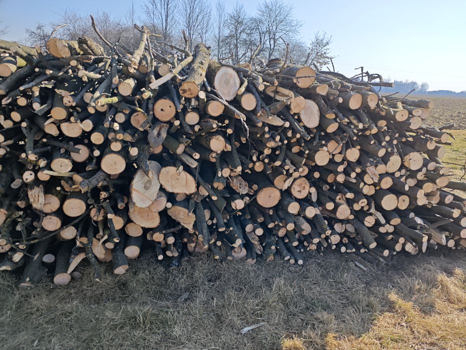 Drewno jesion opał sprzedam