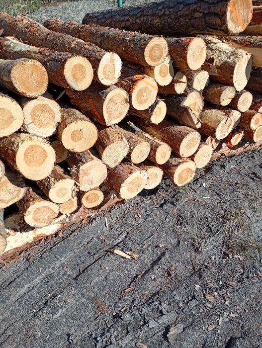 Drewno opałowe suche