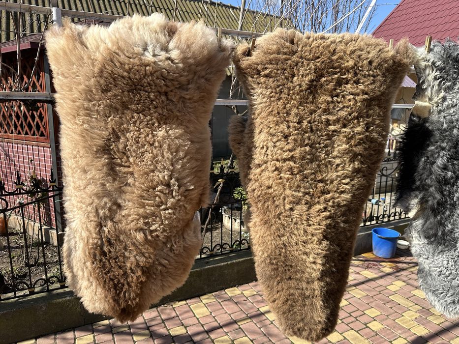 Овечі шкурки натуральні