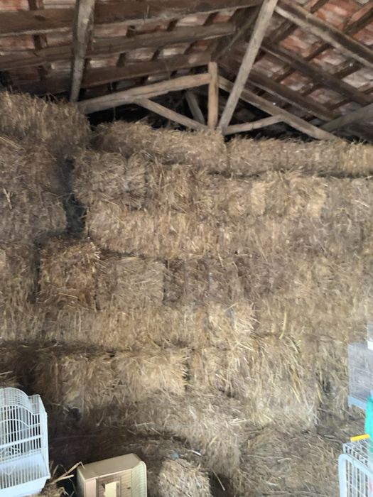 Fardos de feno pequenos excelentes