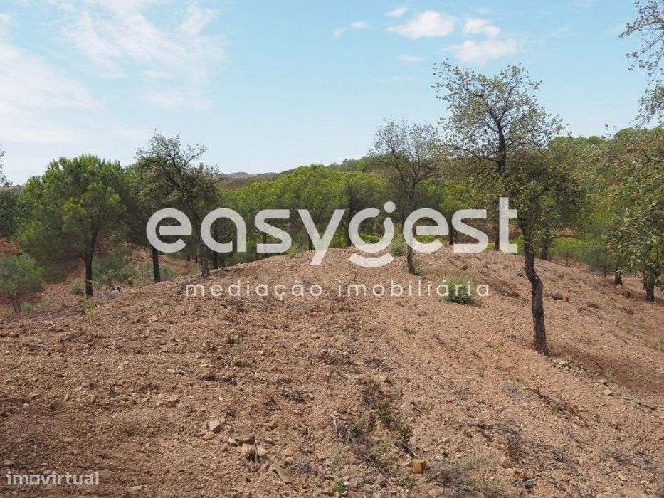 Terreno agrícola com pinheiros, oliveiras e sobreiros em Atalaias