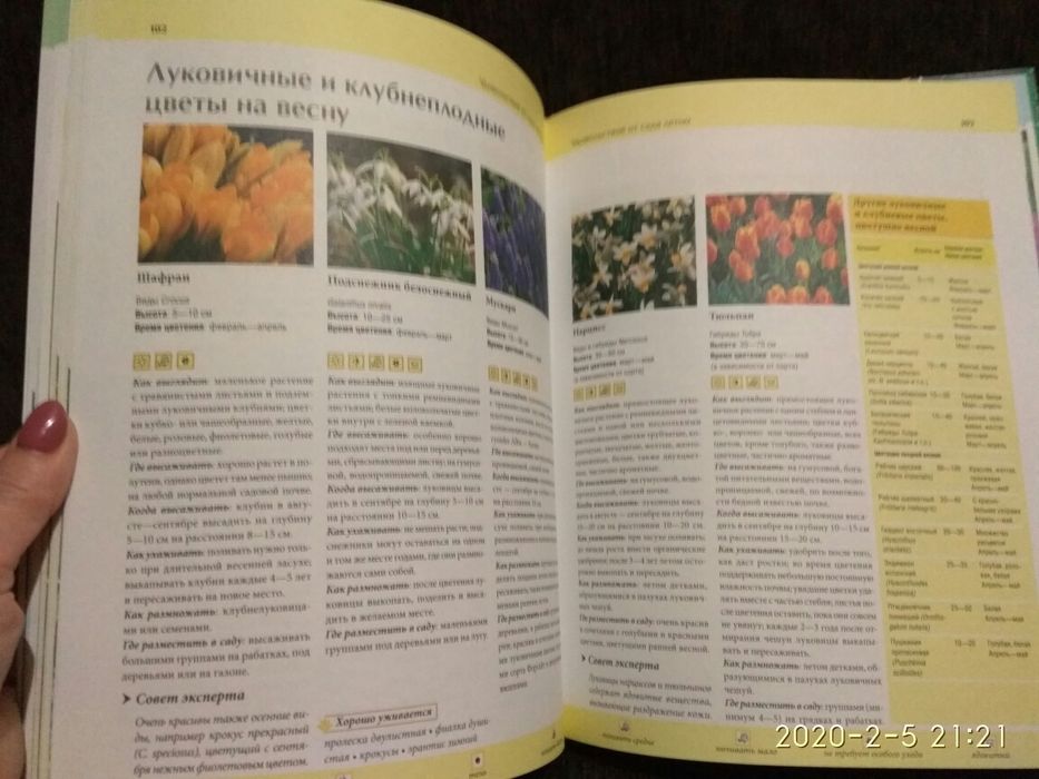 Йоахим Майер - Ваш сад