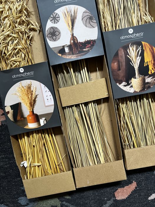 Decoração flores /plantas