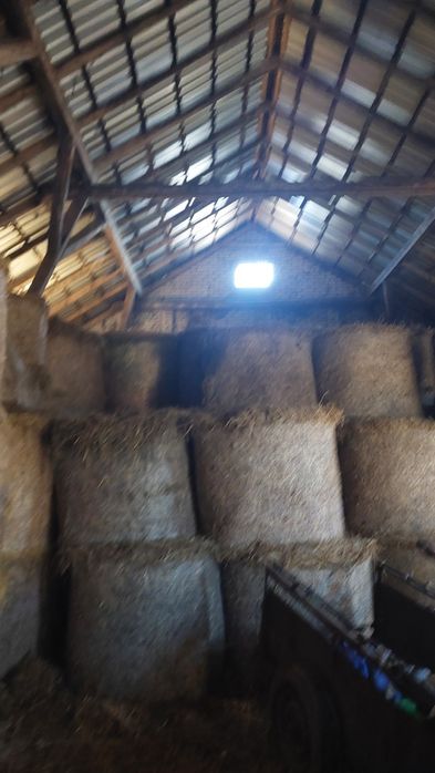 Sprzedam słomę z poprzedniego roku