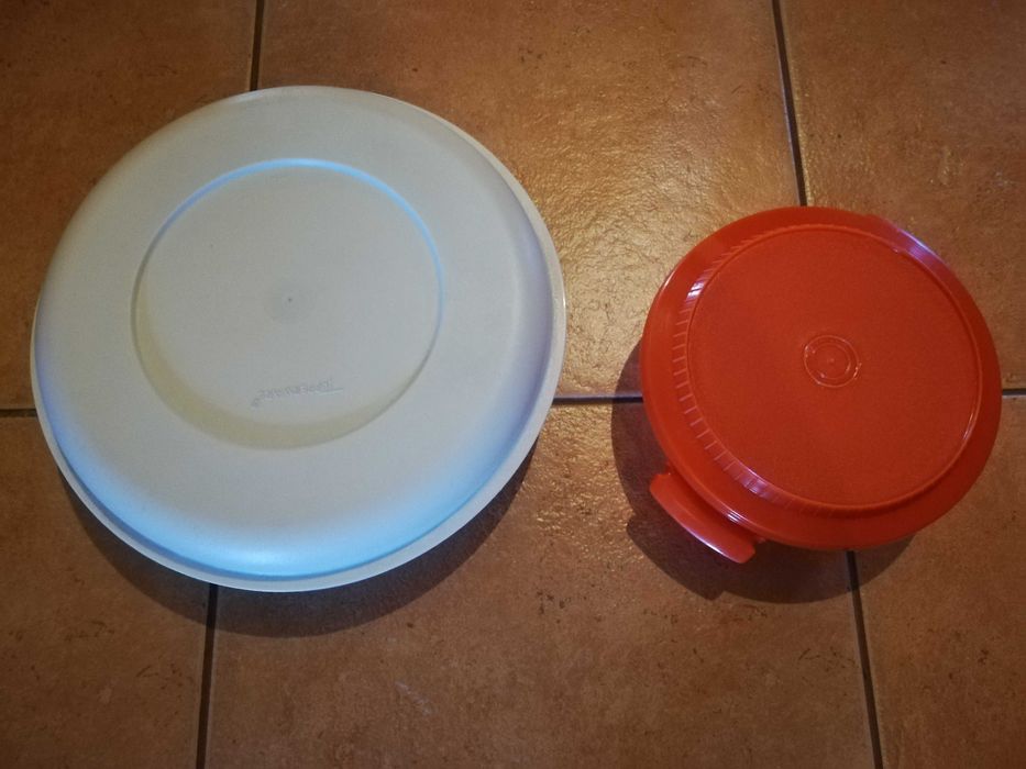 Caixa Tupperware com divisórias e com tampa c/ OFERTA