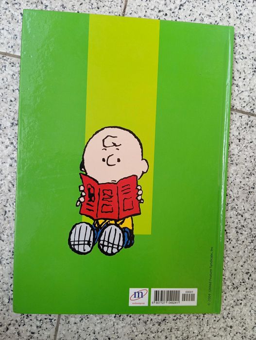 Livro O Dicionário do Charlie Brown