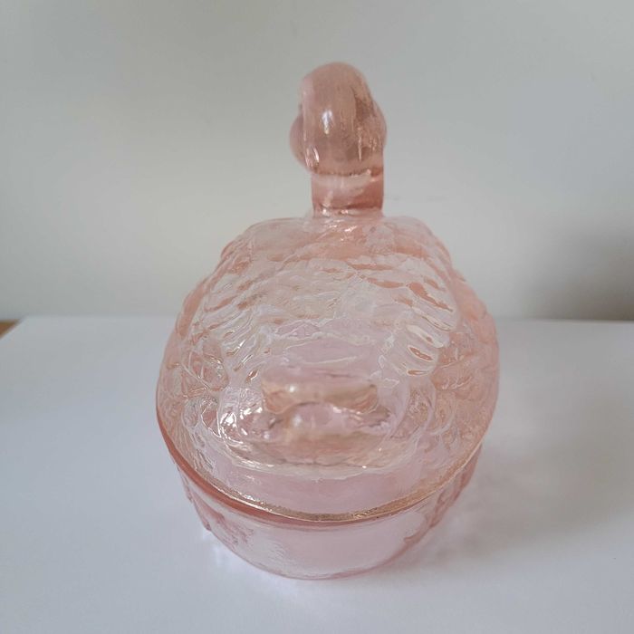 Kaczka Ząbkowice Śląskie