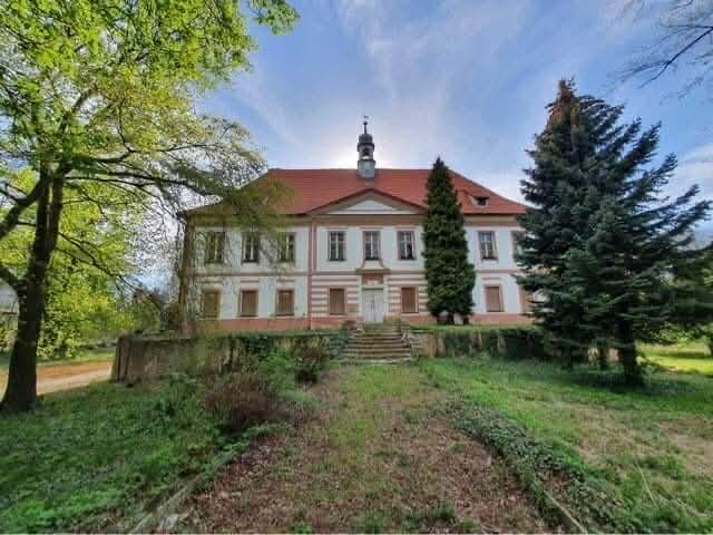 Pałac w Snowidzy na sprzedaż
