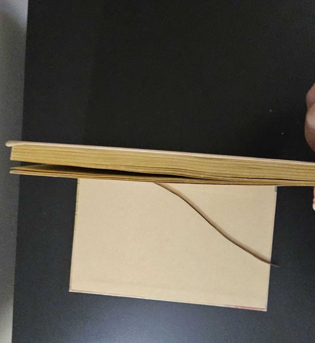 Caderno dourado pautado