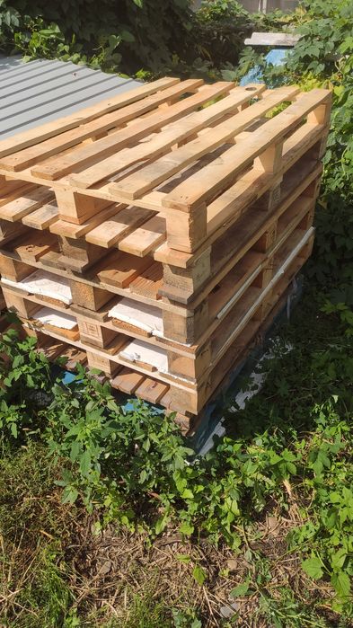 Піддони, палети 1,2х0,8