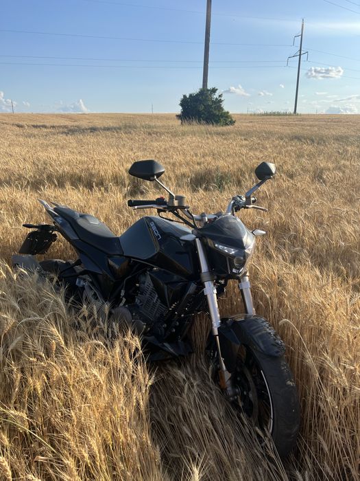 Geon stinger 250R 2022