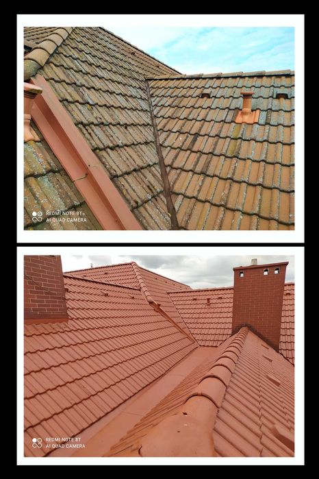 Mycie i malowanie dachów