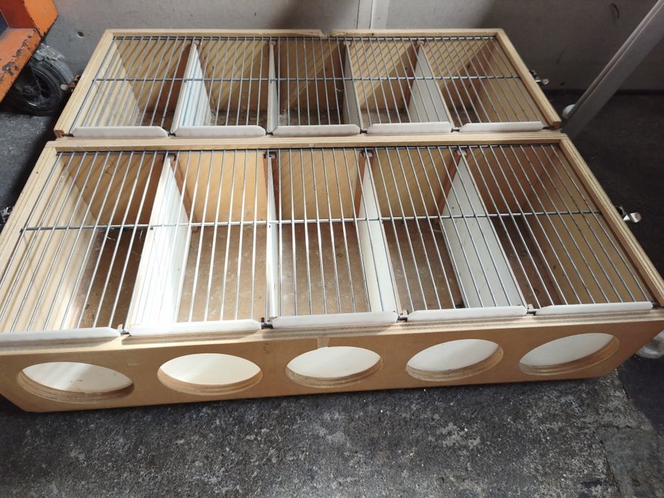 Transportadora para aves