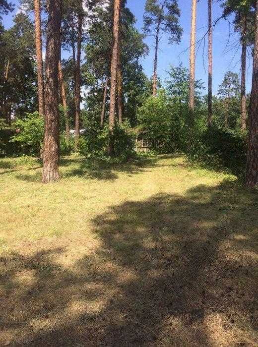 Продаж земельної ділянки в Пущі-Водиці Оболонський район.