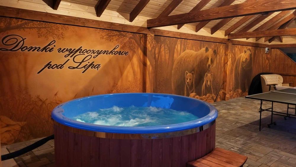 Domki w Bieszczadach "Domki wypoczynkowe Pod Lipą"