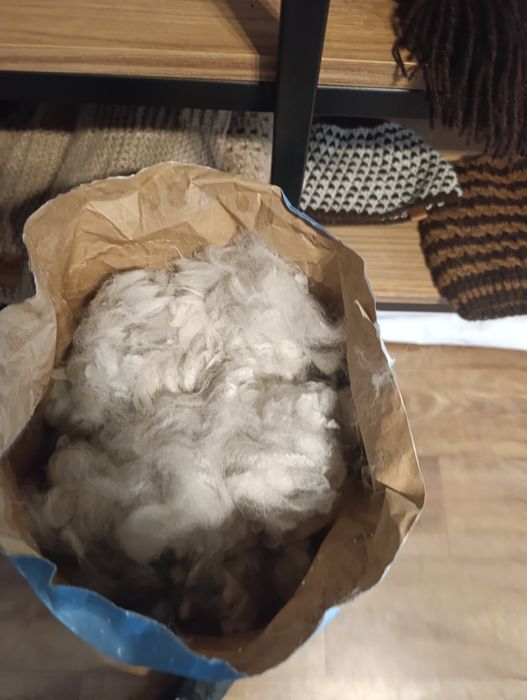 Runo alpak do przędzenia pierwsza jakość